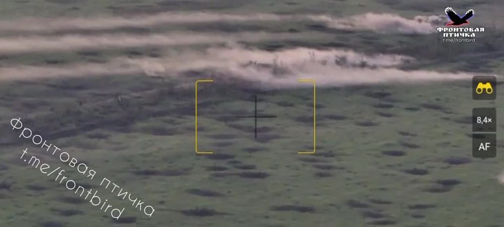 ����������� �����������. ����� �.�. �������� 20:10 24.08