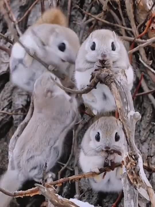 #����������. ��������� �������� ����� � ����� �� ����� ����� �������� �� �������
