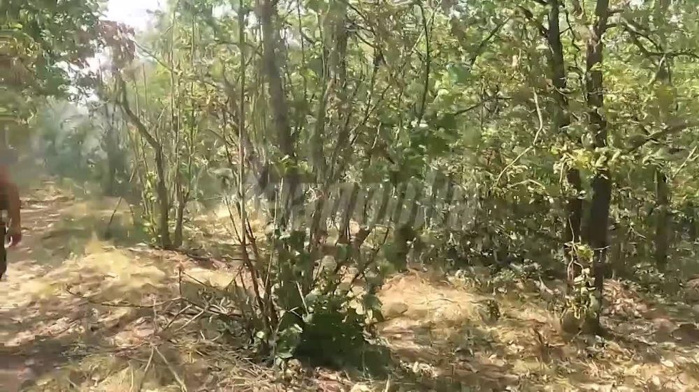 ������ 1430-�� �����, ���������� ��������� ������� � �������� � ������� ���� �����, ��������� �������� �������� �� �� ������ ����� �� ���