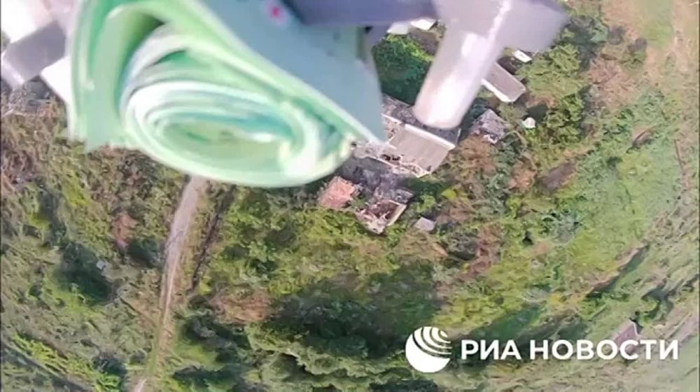 Евгений Лисицын: Жизнь дороже интересов киевского режима, подумали ВСУ-шники и сдались в плен российским военнослужащим