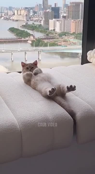���� ������ ������ ����!. �������������� ��