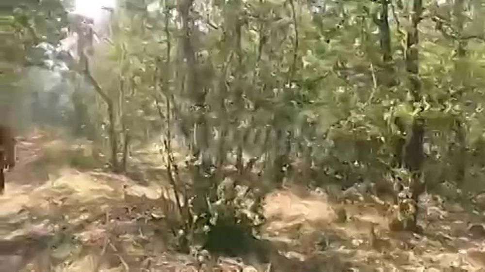 ����� ������� ����� ��������� ������ �������� ����� �������� ������ � �������� � �� ��������� ������� ���