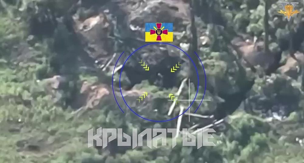 ������ FPV-����� �� ���������� �� ���������� �����������