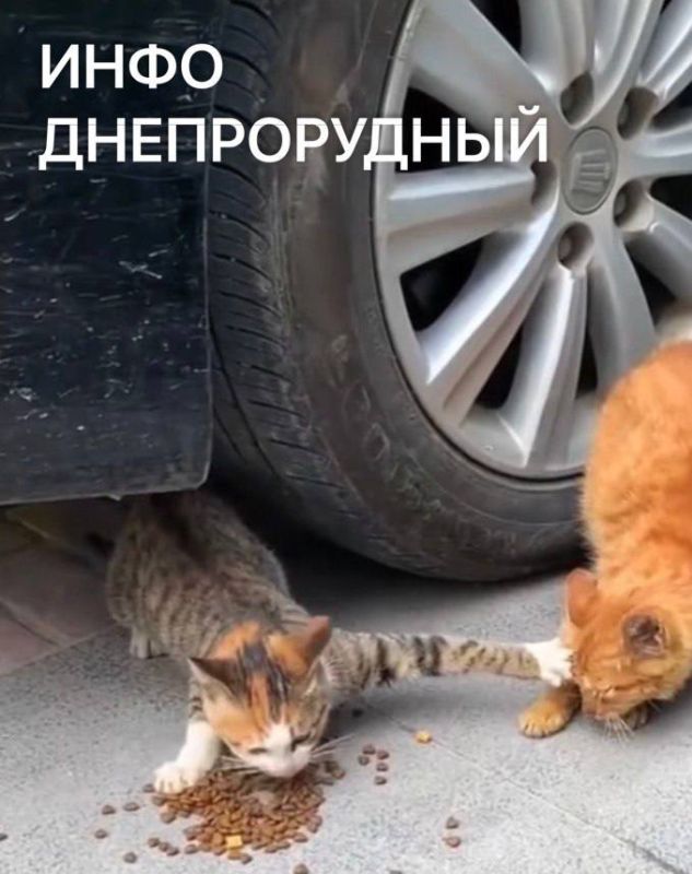 � ������ �����, � ���������� ������� ���. ����� ������� ��� �������� ����� �������� � �������, � ������ ����� � ������� � �����������