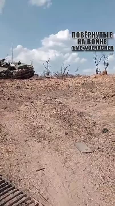 ������� ������������. ������������ ���������� ���, ����, �������� ��������������� Wolfhound � ��������� �������� ��� ������� � ������ �.�. �������� ����������� �����������
