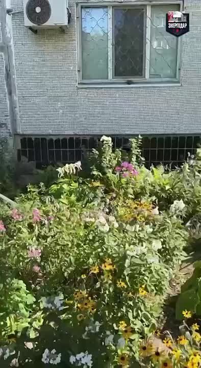 ��� ��������� ����������� ������ ��������