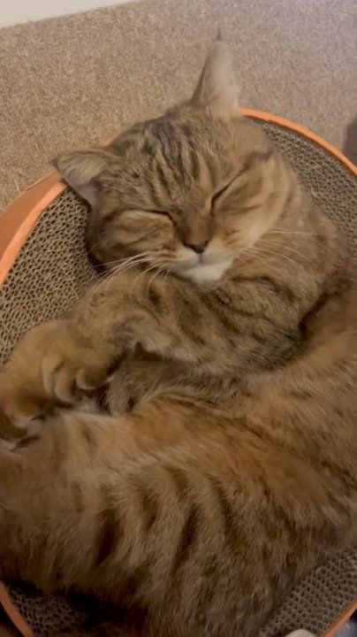 ���� ������ ������ ����!. �������������� ��