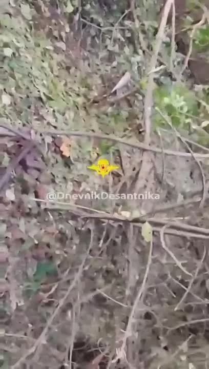 ����������� ����� ���������� �����������!