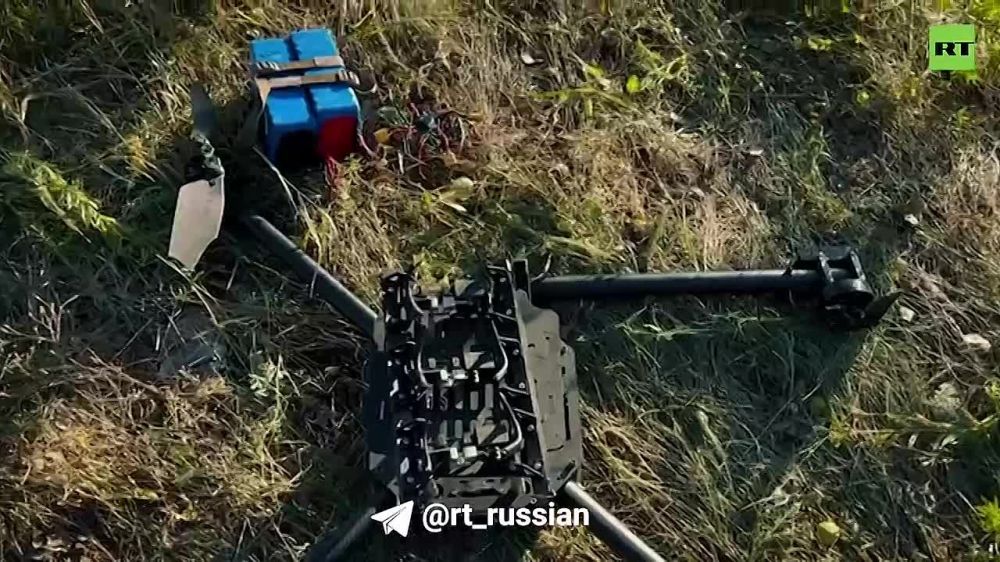 �������� �����: ������ ����� ������� � ������ ���� �������� ����� ��� ����� ���