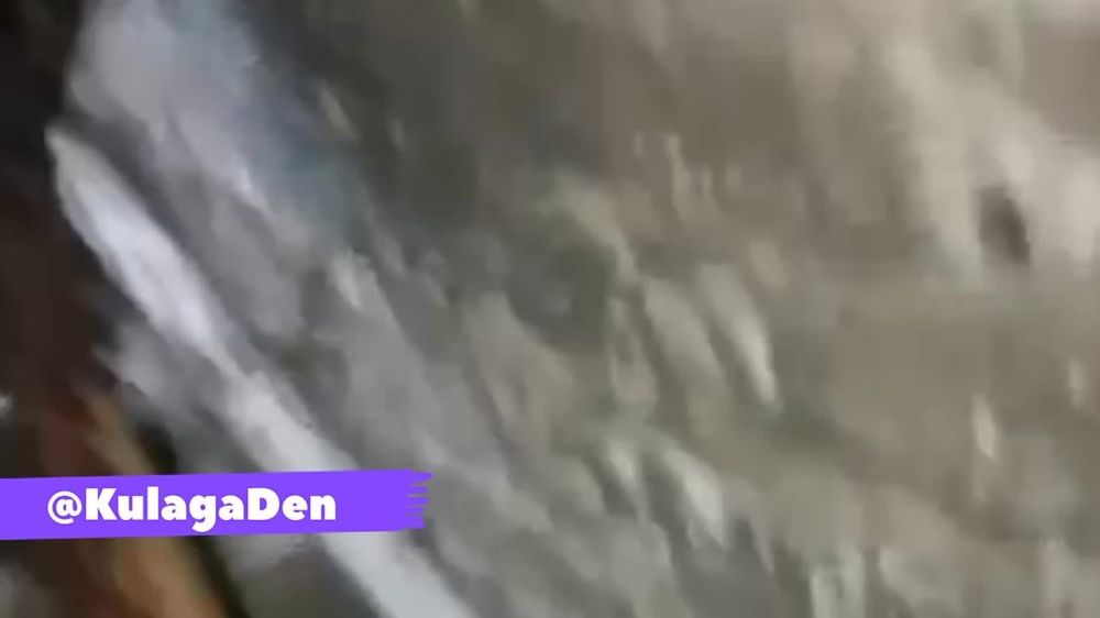 ������ ������ ������ � �.�. ������������� �� ��������� �����������