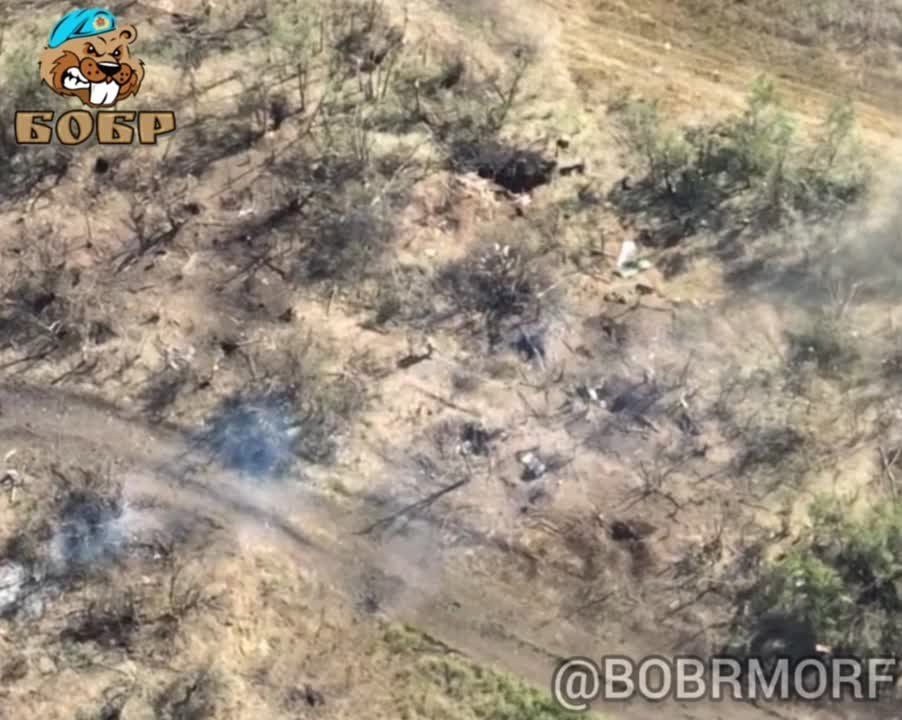 ����� �����: �������� ������ ����������� ������ ��� � ������� FPV-������ �� ����������� �����������