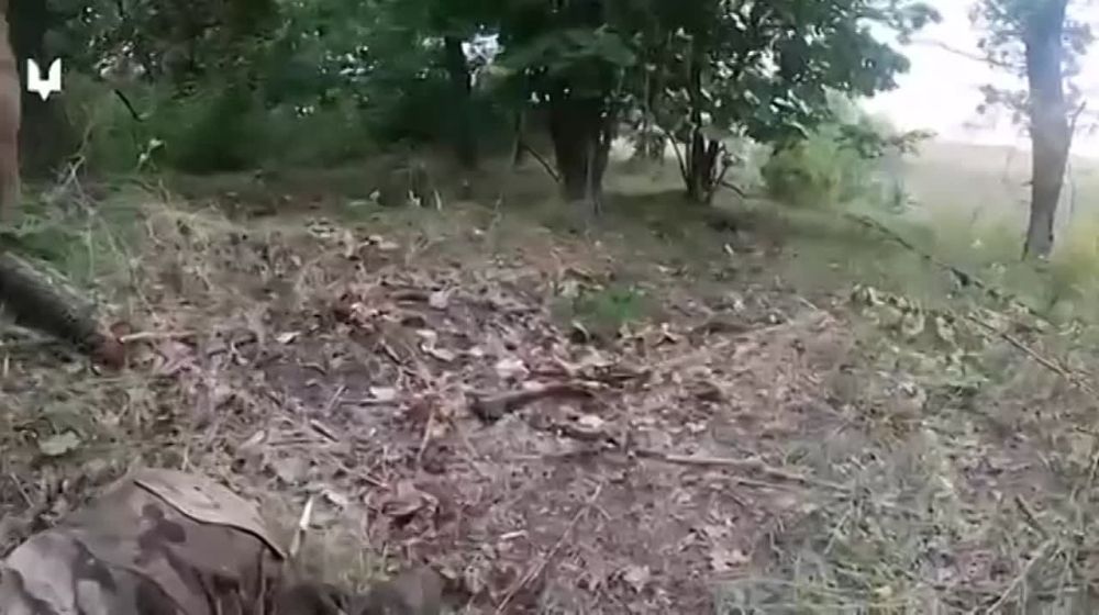 ������� �����: ������� ���������� ����� ������� � ������� ���� ��� ��������