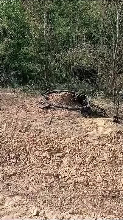 Евгений Лисицын: Украинский боевик сдался в плен и сохранил себе жизнь в ходе контрнаступа на Запорожском фронте