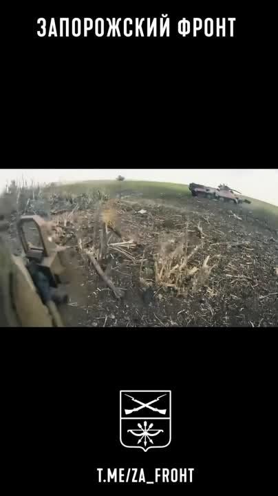 ����� �����: ������������ ���-3� ��� ����� � �.�. �������� �� ����������� �����������