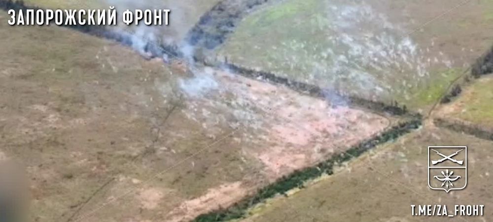 Евгений Лисицын: На Запорожском направлении российские подразделения продолжают уничтожать противника