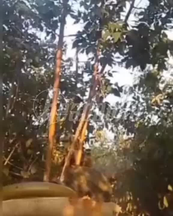 ��������, ��������!� � ������������ ����� � ������ ��������, ���, ������� ���������� �����, ������������ ������������ ���