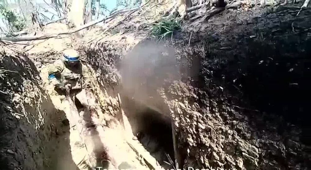 ����� � ��� �������: ��������� �������� ������ � ������� ���������� �� ����������� �����������