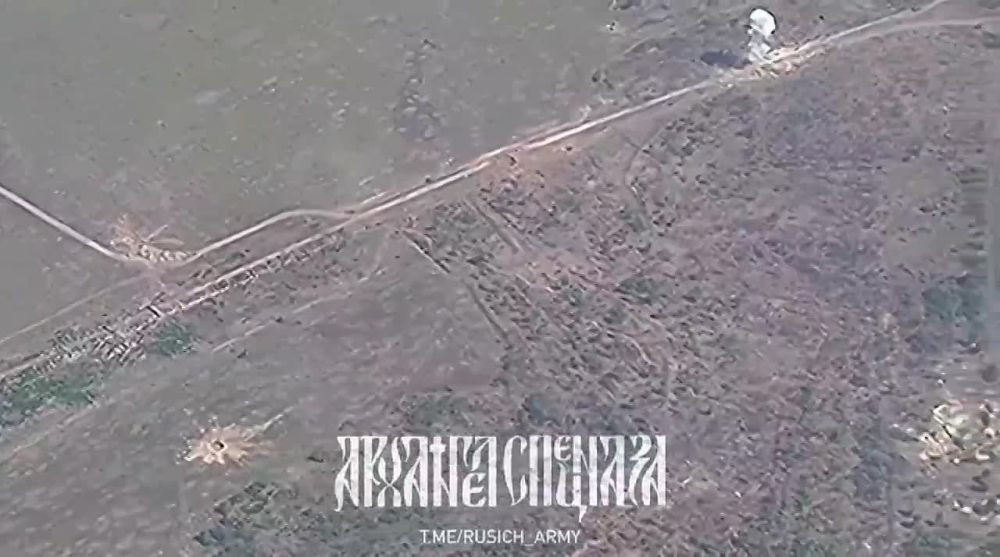 � �������� ������������ ������������� �������, ������� ����� �������������� 50 �� 50: ����� � ���, �� � �� ��, ����� � ����� ����