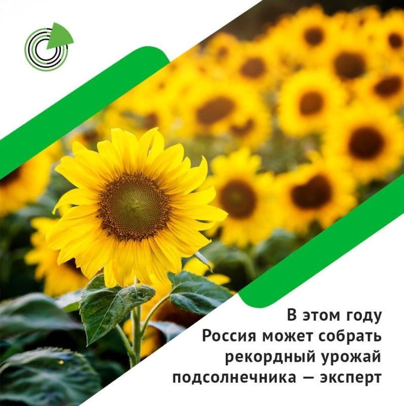����������� �������. � ���� ���� ������ ����� ������� ��������� ������ ������������� ������ ������������� � �� � ���� ����...