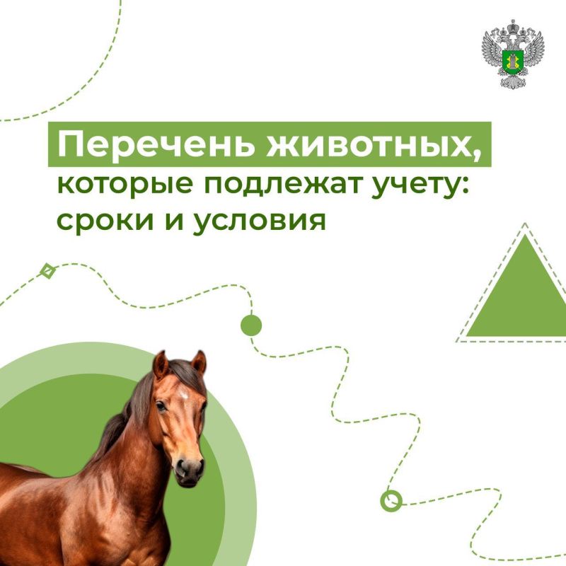 1 �������� 2023 ���� � ������ �������� � ���� ����������� ����� �� ������������ ���������� ���������������