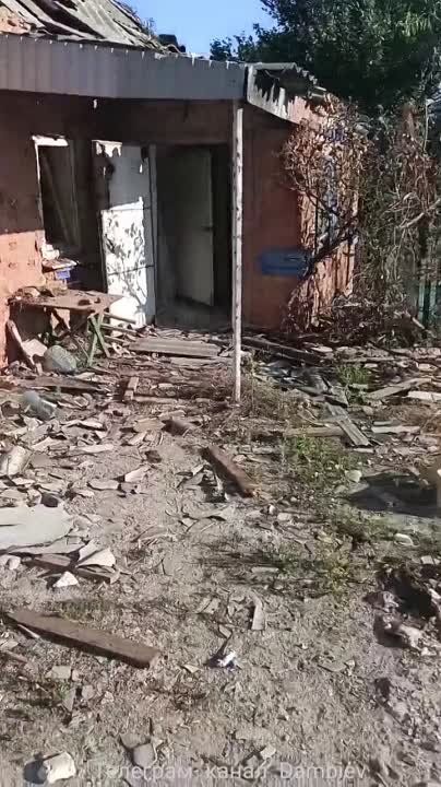 ����� �����: ��������� ������� �� ��������-��������������� ������ (���) ���������� ������������ �� ����������� �����������