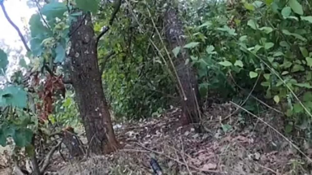 �������� ����� �� ��� �������.