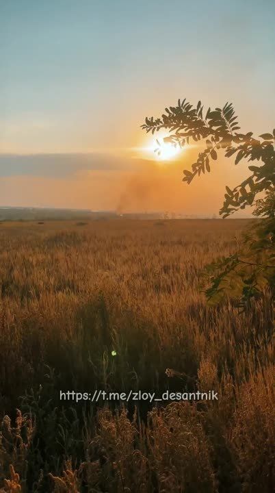 ����� � ������������ ������ �� �� 7� ���, ����� ���� ���������: