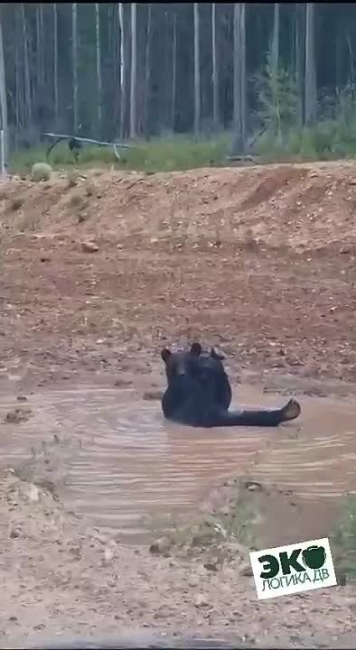 �������� ����� �������� �� ��������