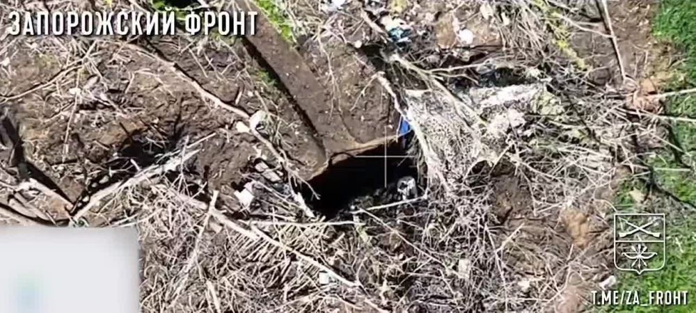 ����� �����: ����� ������� ������ � ������������� �� ������� ��� ��������������� 35 ����� �� ����������� �����������