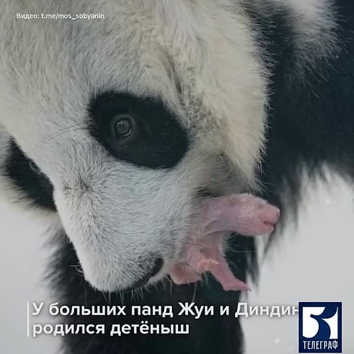 � ���������� �������� ������� ������ � ������� ������ ������� ������� �����