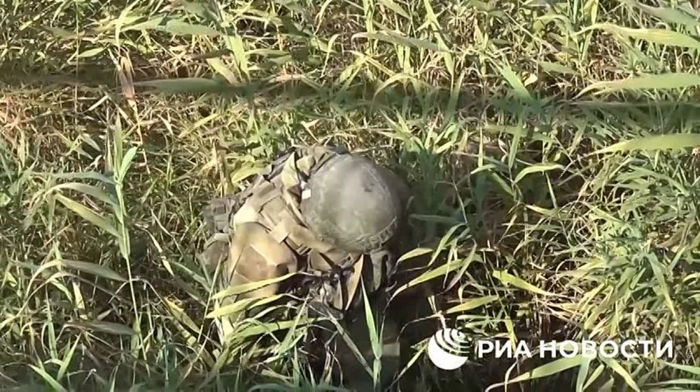 � ���������� �� ����������, ��� ��� ������� ������������ ������ ������ �� ����������� ��� ��� �������� ����� ����������� ����, �������������� ������������� ����������� ��������