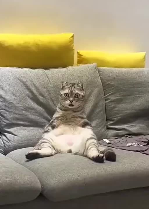 ����� ��������, ��� ������� ��������� ���� ����
