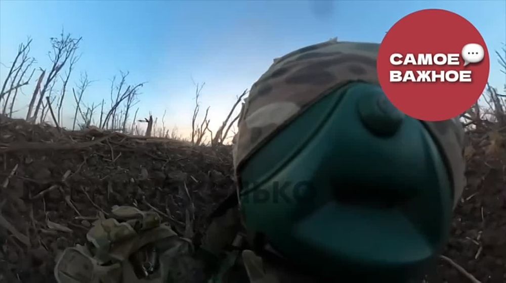 ��� ��������� �������� �� ���� ������� ������������ ������