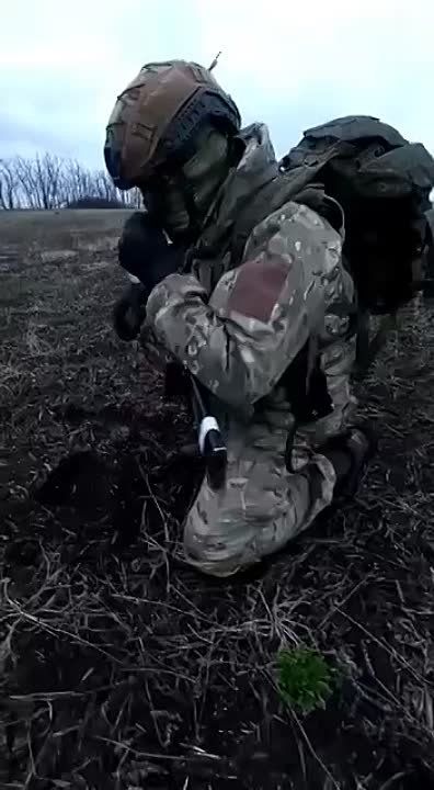 ��������-������ 429 ����� �������� ��������� � ����� ������