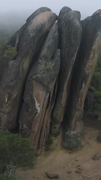 ��� ��� ����������� �������� ����� - ����� �����, ���������� ������������ ������