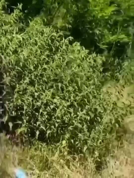 ����� ������ ������� �� ����� �� �����������