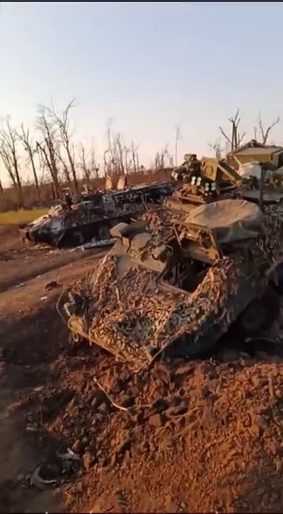 Андрей Руденко: «Stryker» уснувший где-то в Запорожских степях.