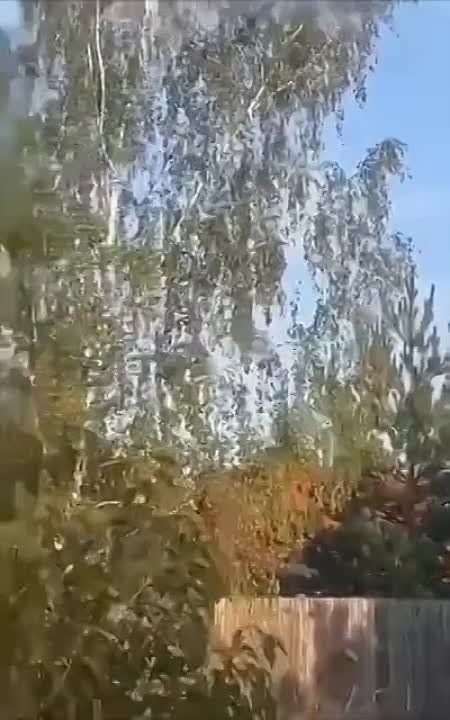 �������� �����: ����� ����������� �����-��������� ��� ���������