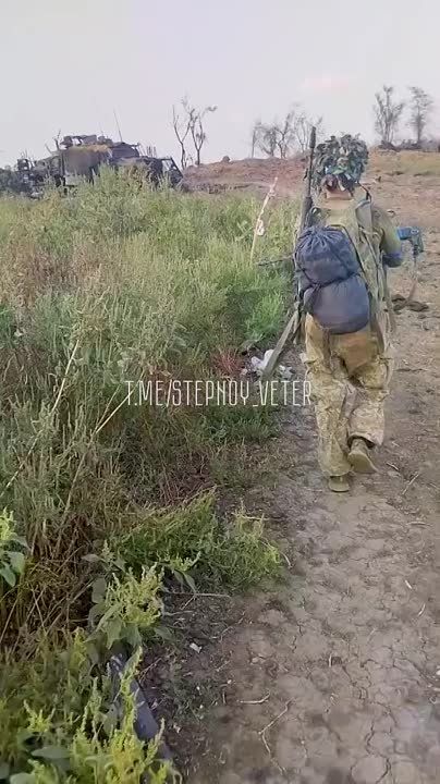 ����� � ��� �������, ��������� ������������� ��������������� Wolfhound � ������������ ��� Stryker