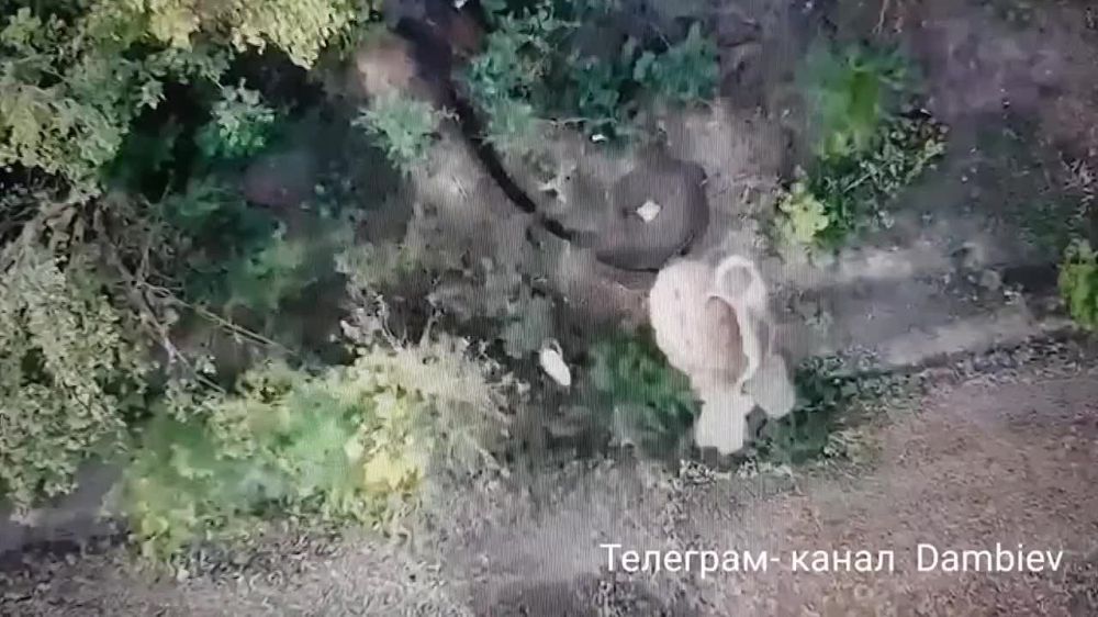 ����������� ����� ������� �������� � �������� ��� ���-�� � ������ ����������