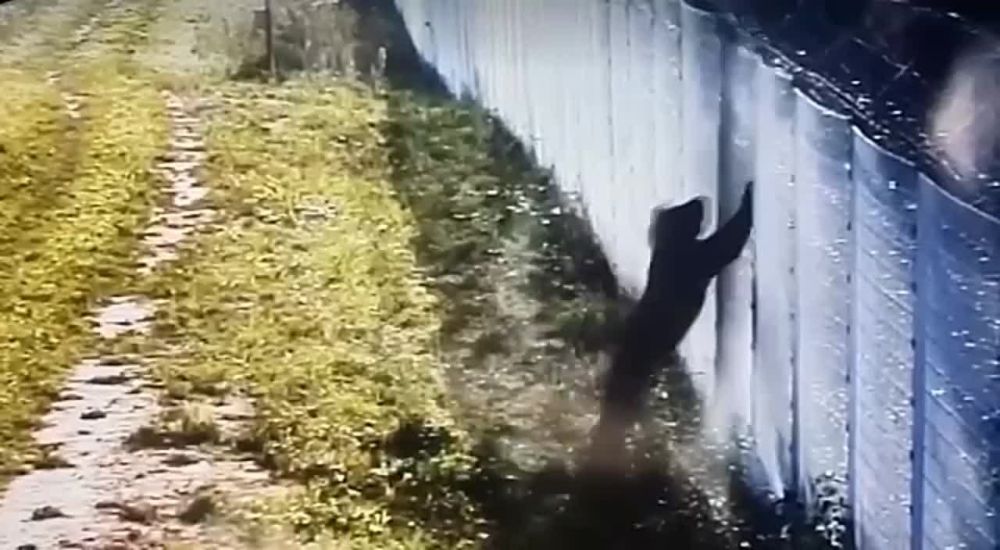 ���� ������� ����� �� ���������