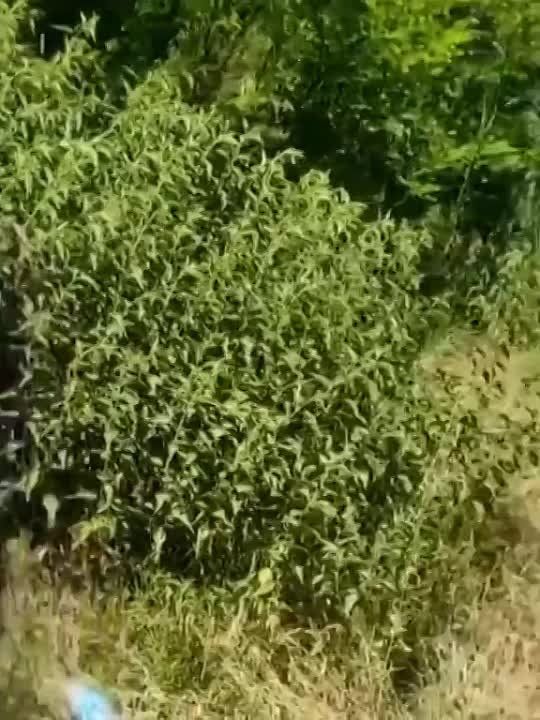 � ���� ��������� ����� ����� ���, �������� ������������ ������������� �����
