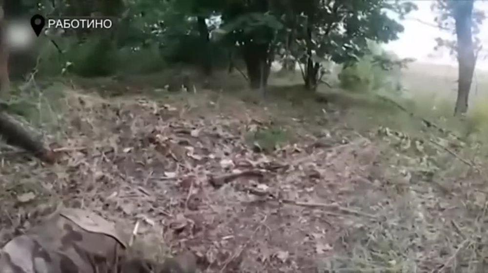 �����, ������ ������� ��� ��� �������� � ����������� �������