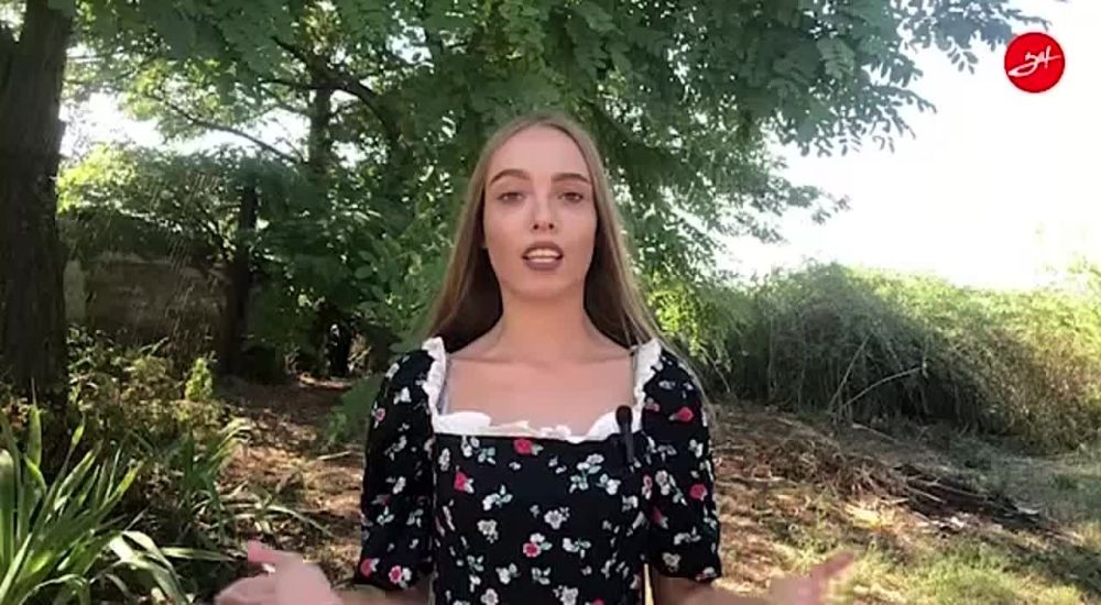 � ����� � ��������� ���� ����������� ������ ������������ 3-� ���� ���������� �����������