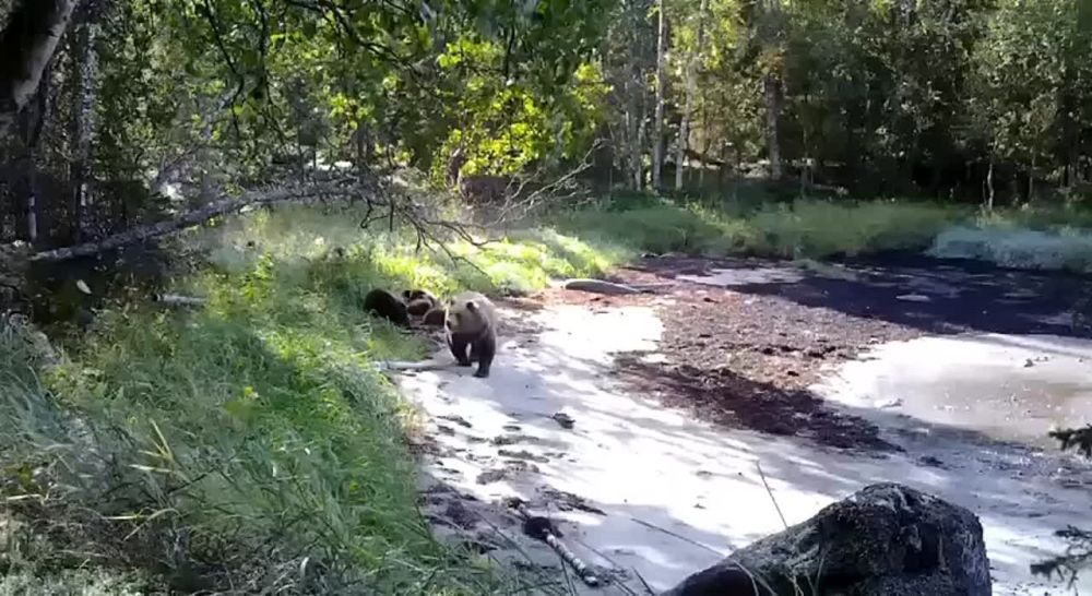 ��������� � ����� ����������� �������� �� ������� ������� ���������� ������� � ������������� ��������� ����������� ����� ����� �������� ������ �� ����� �� ����� ��������
