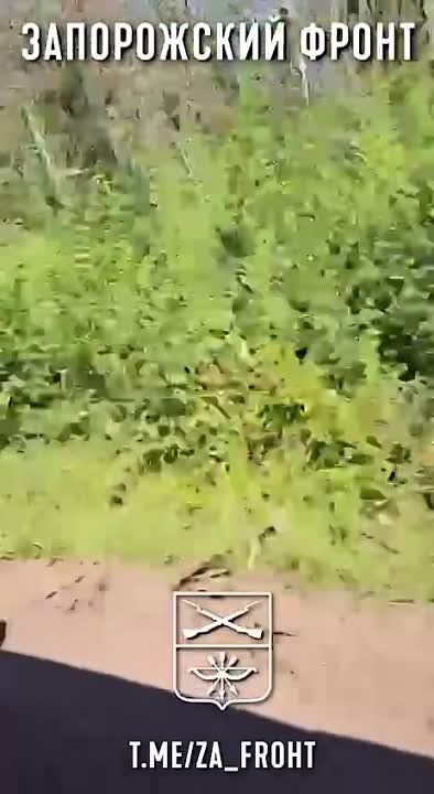 Евгений Лисицын: Кладбище украинской техники на Запорожском фронте продолжает увеличиваться