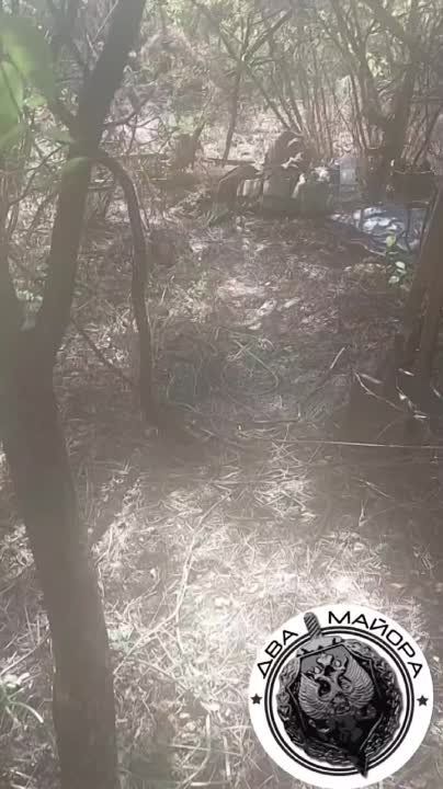 ����������� �����, ���������� �����������