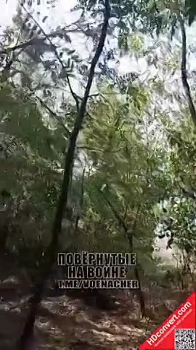 ����� ������ ������ ���������� ������ �� ����������� �����������