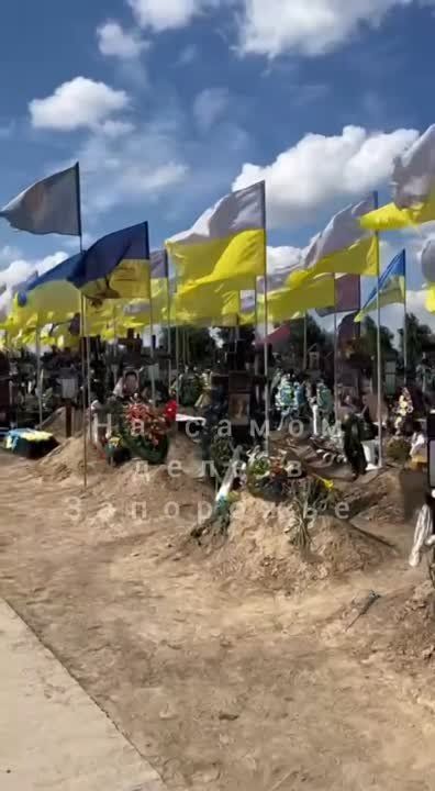 ����� ���������, �������� �������������� �������� �������