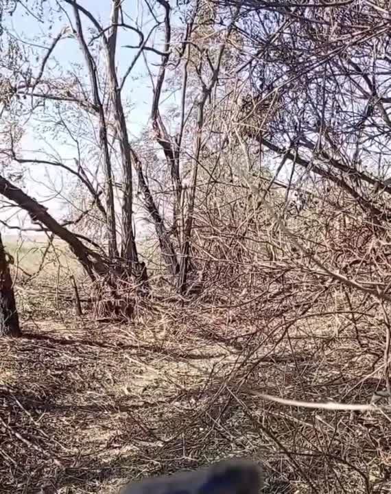 �������� ������ ���������� �� ���������